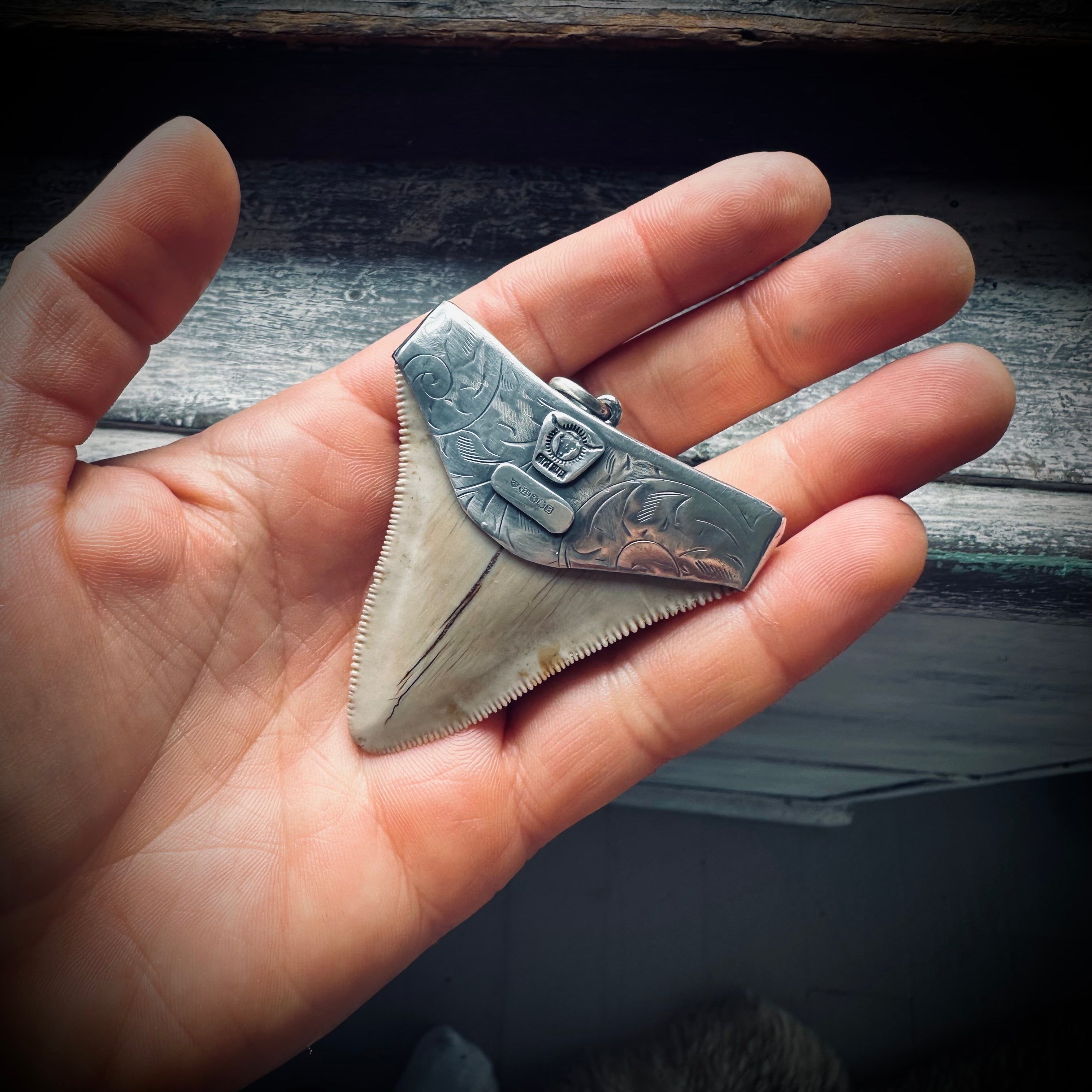Sterling silver hallmarked fossil shark tooth pendant with turquoise