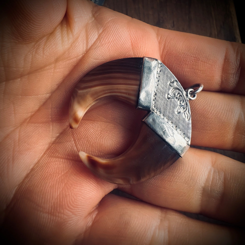 Double vintage carved shell “claw pendant” in sterling silver