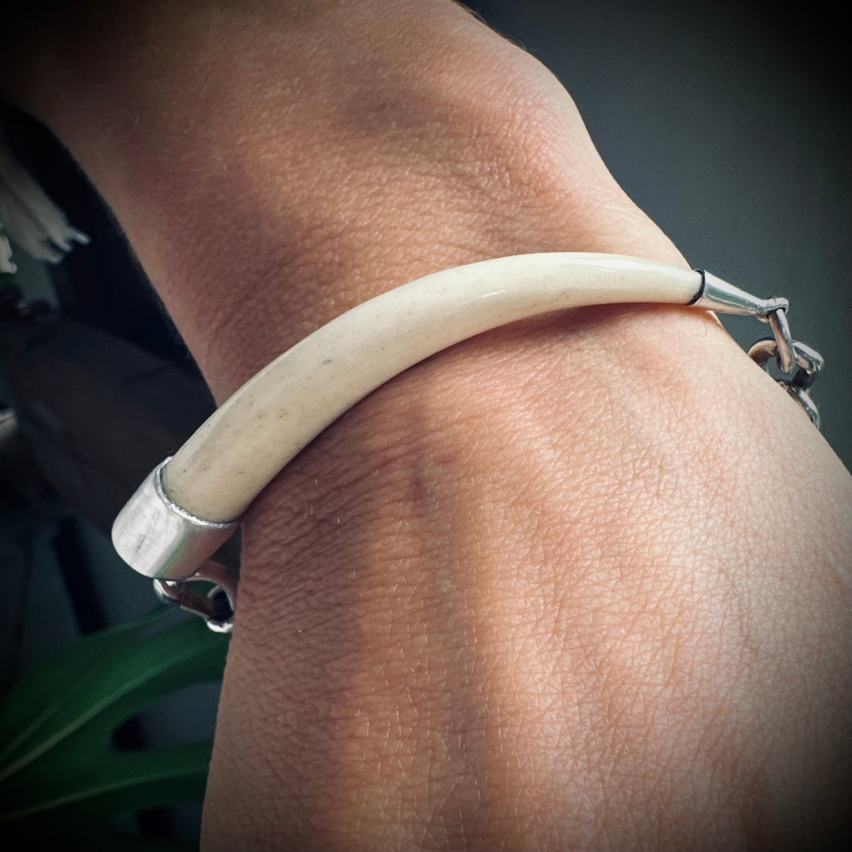 8.5” handmade sterling chain and bone “tusk” bracelet with Albert clip