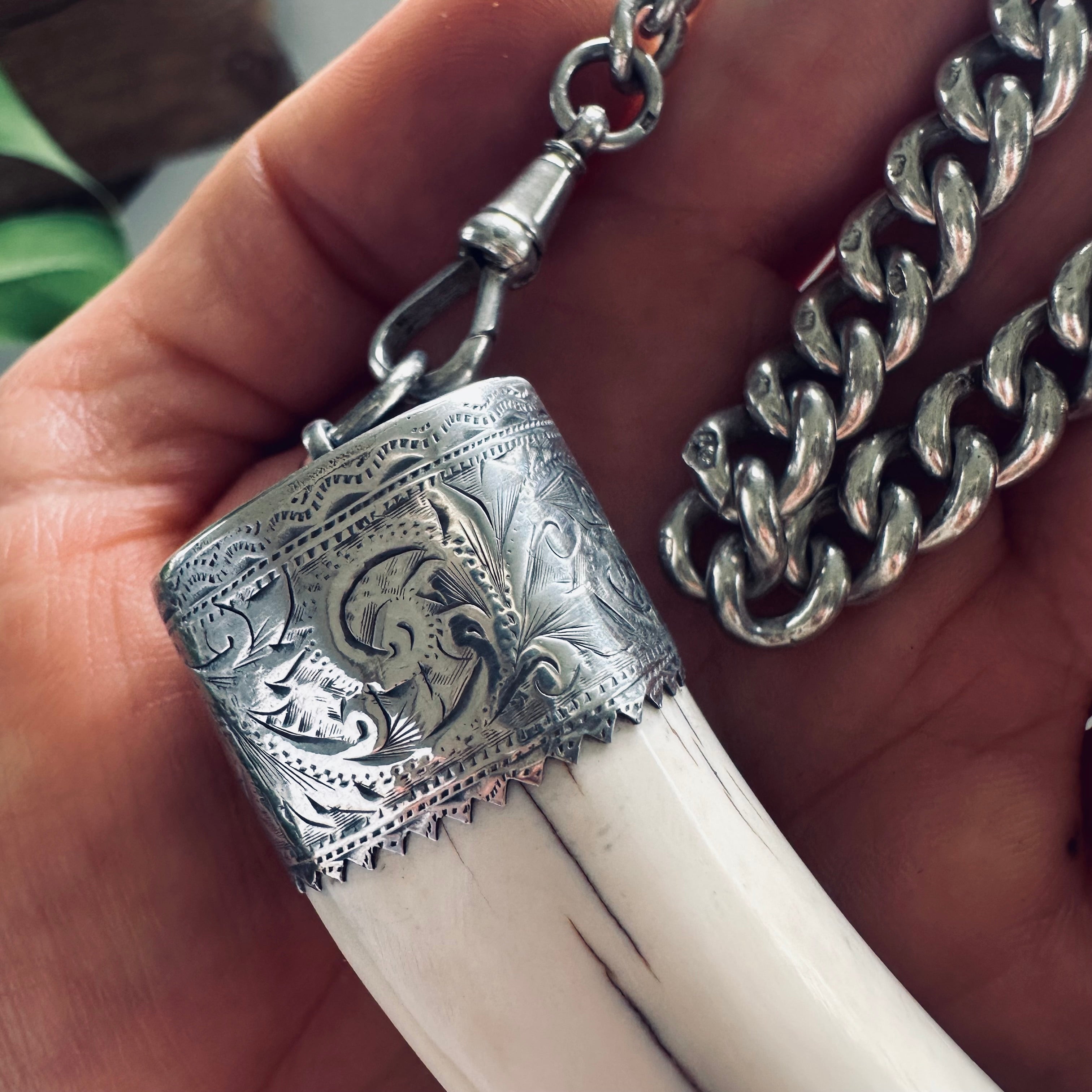 17” reworked vintage tusk necklace in hallmarked sterling silver with gorgeous graduated antique Albert chain