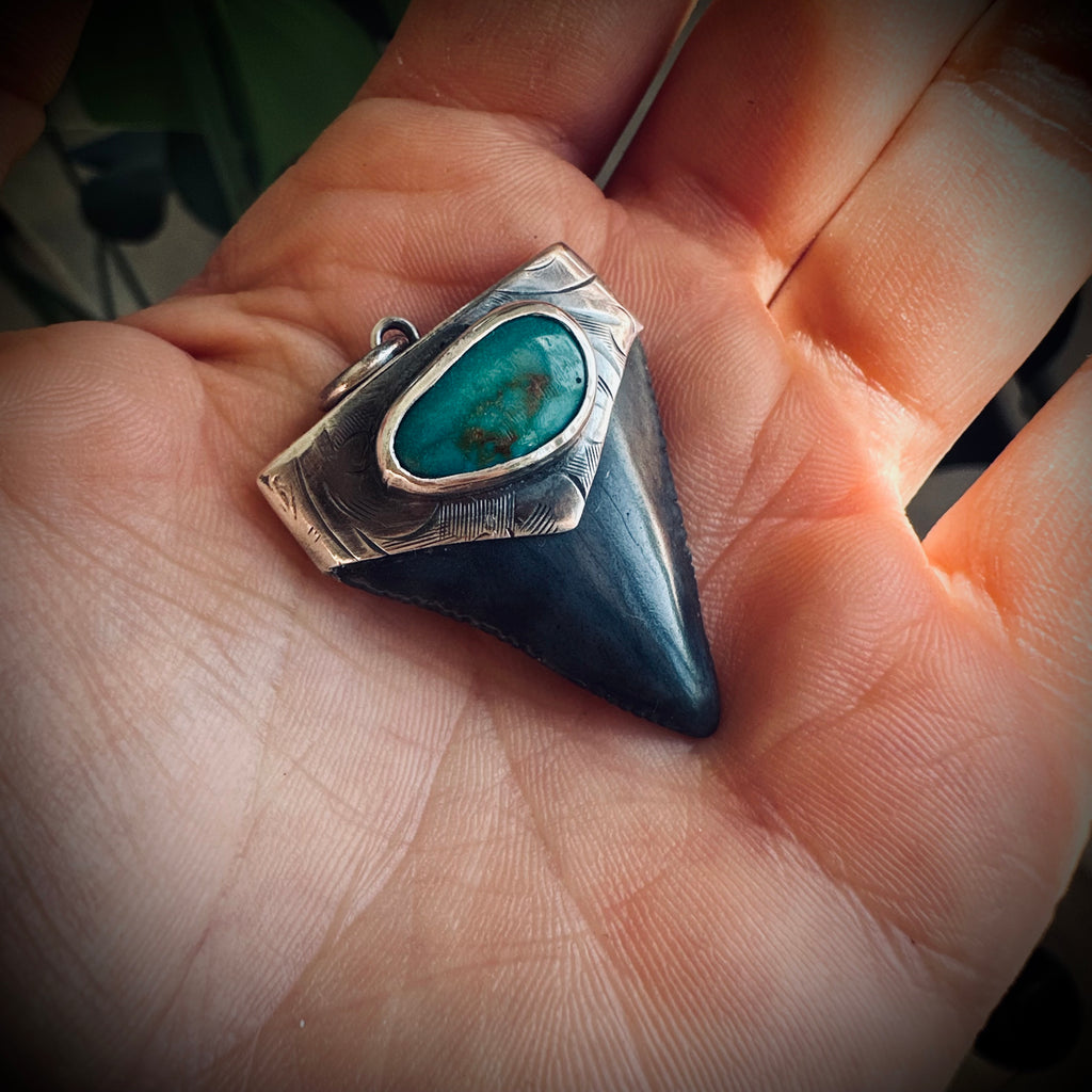 Sterling silver hallmarked fossil shark tooth pendant with turquoise