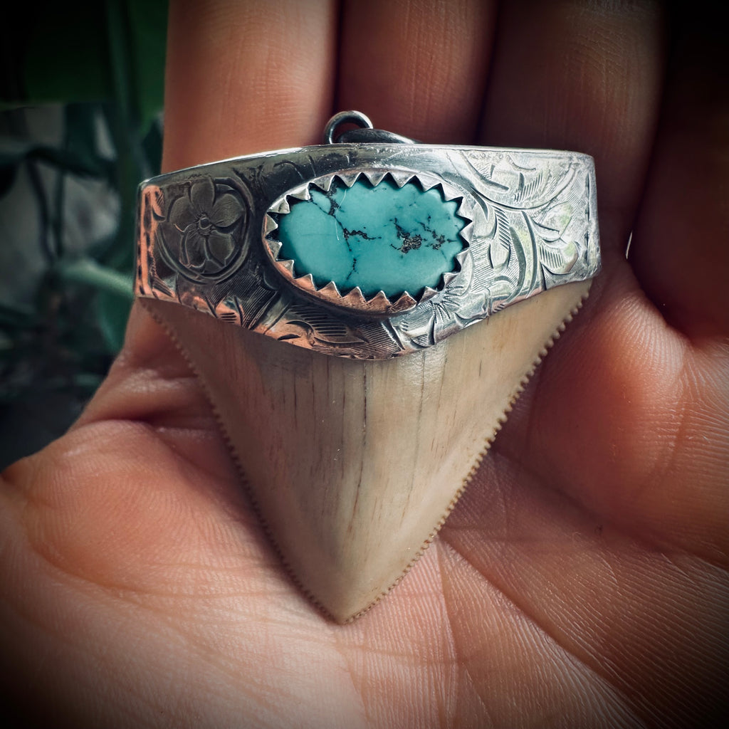 Large fossilised shark tooth pendant in hallmarked sterling silver with turquoise