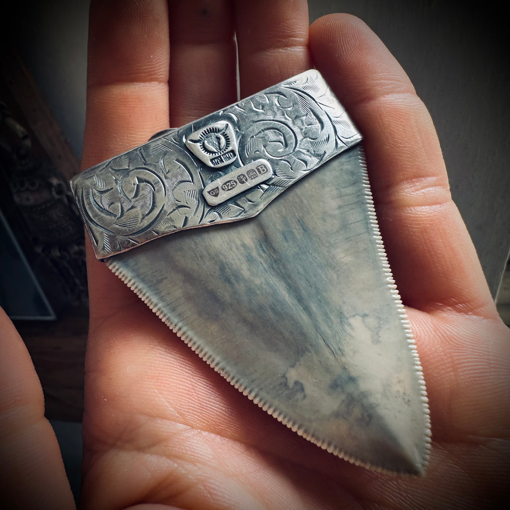 XL Fossilised shark tooth pendant in engraved hallmarked sterling silver