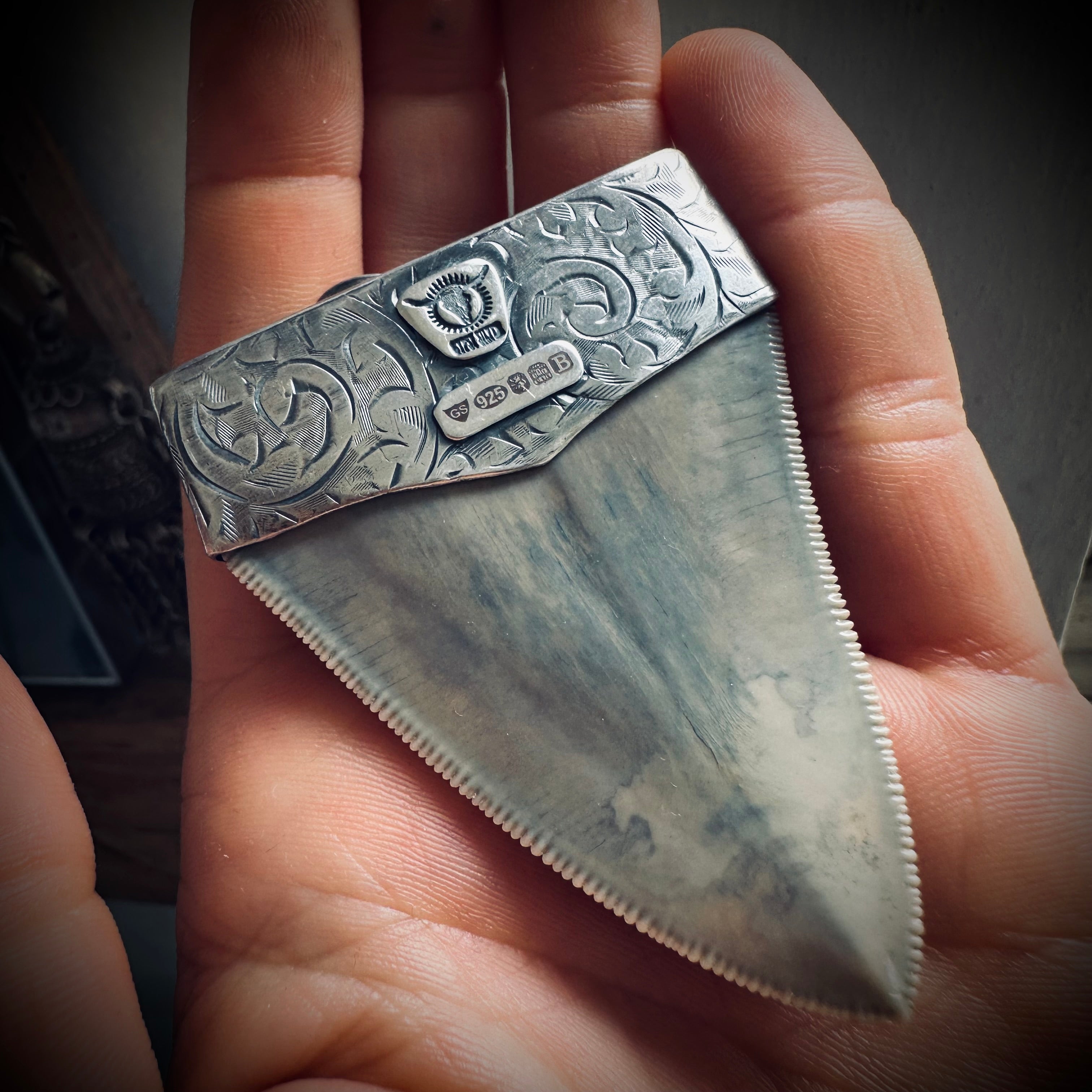 XL Fossilised shark tooth pendant in engraved hallmarked sterling silver