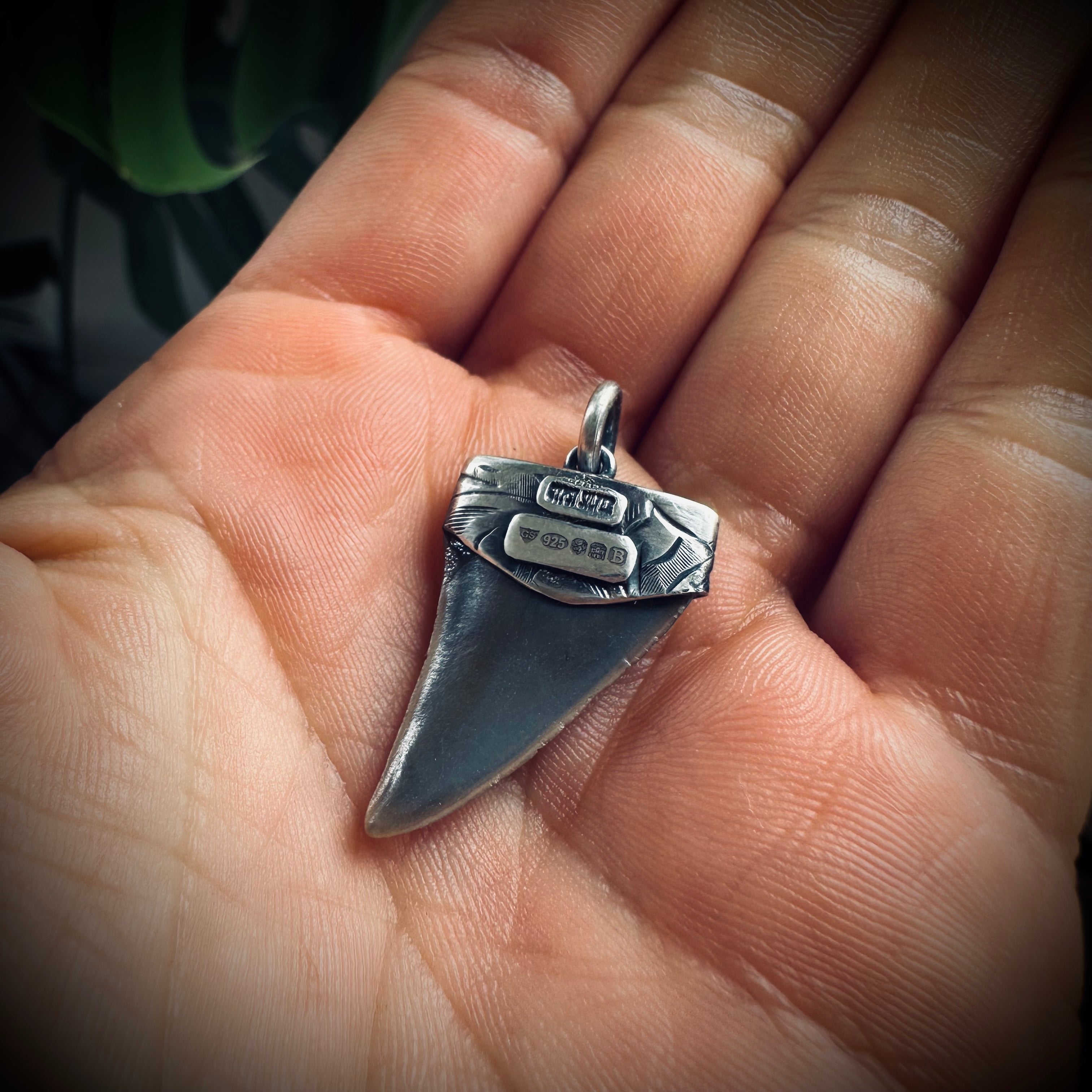 Fossilised shark tooth pendant in engraved hallmarked sterling silver