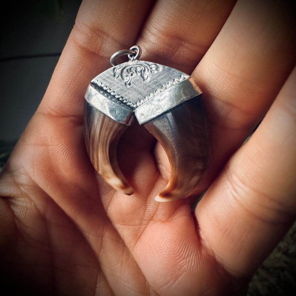 Double vintage carved shell “claw pendant” in sterling silver