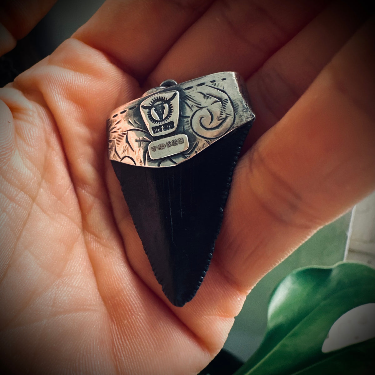 Sterling silver hallmarked fossilised shark tooth pendant