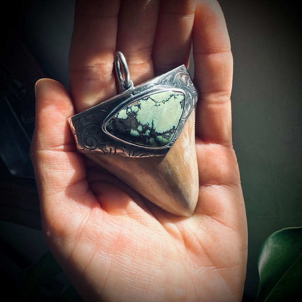 XL Sterling silver fossilised shark tooth pendant with turquoise