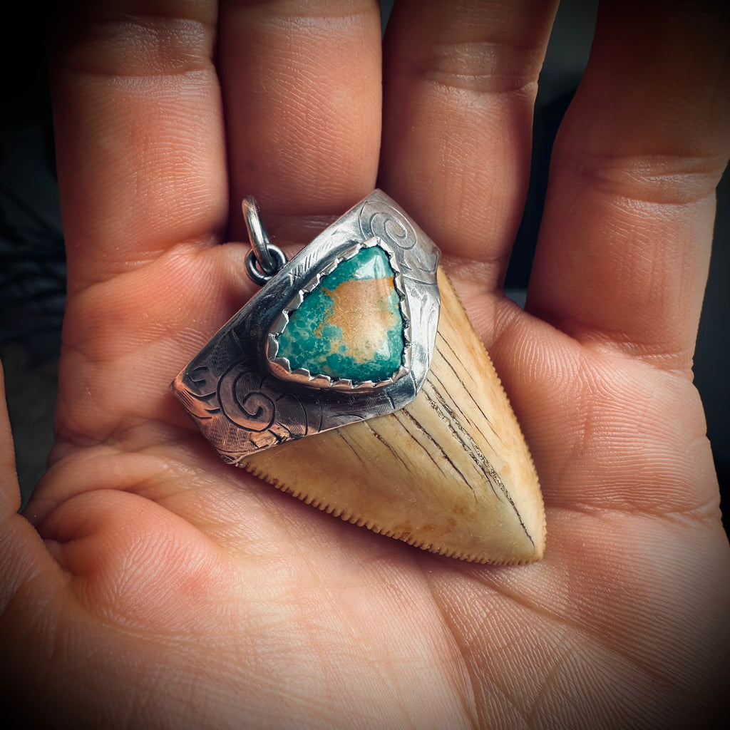 Fossilised shark tooth pendant in engraved hallmarked sterling silver