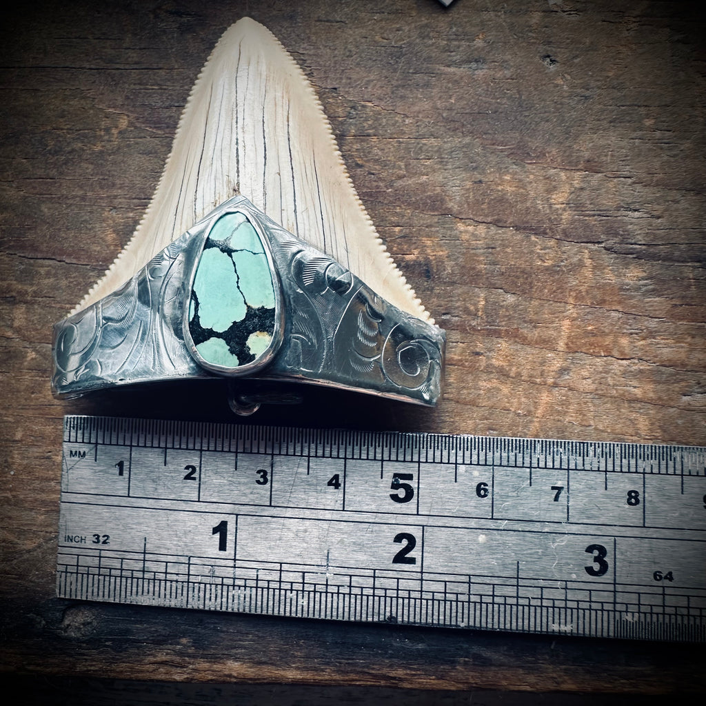 Sterling silver hallmarked fossil shark tooth pendant with turquoise