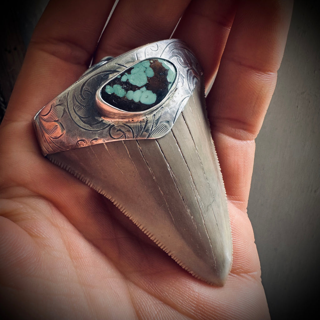 Fossilised shark tooth pendant in engraved hallmarked sterling silver