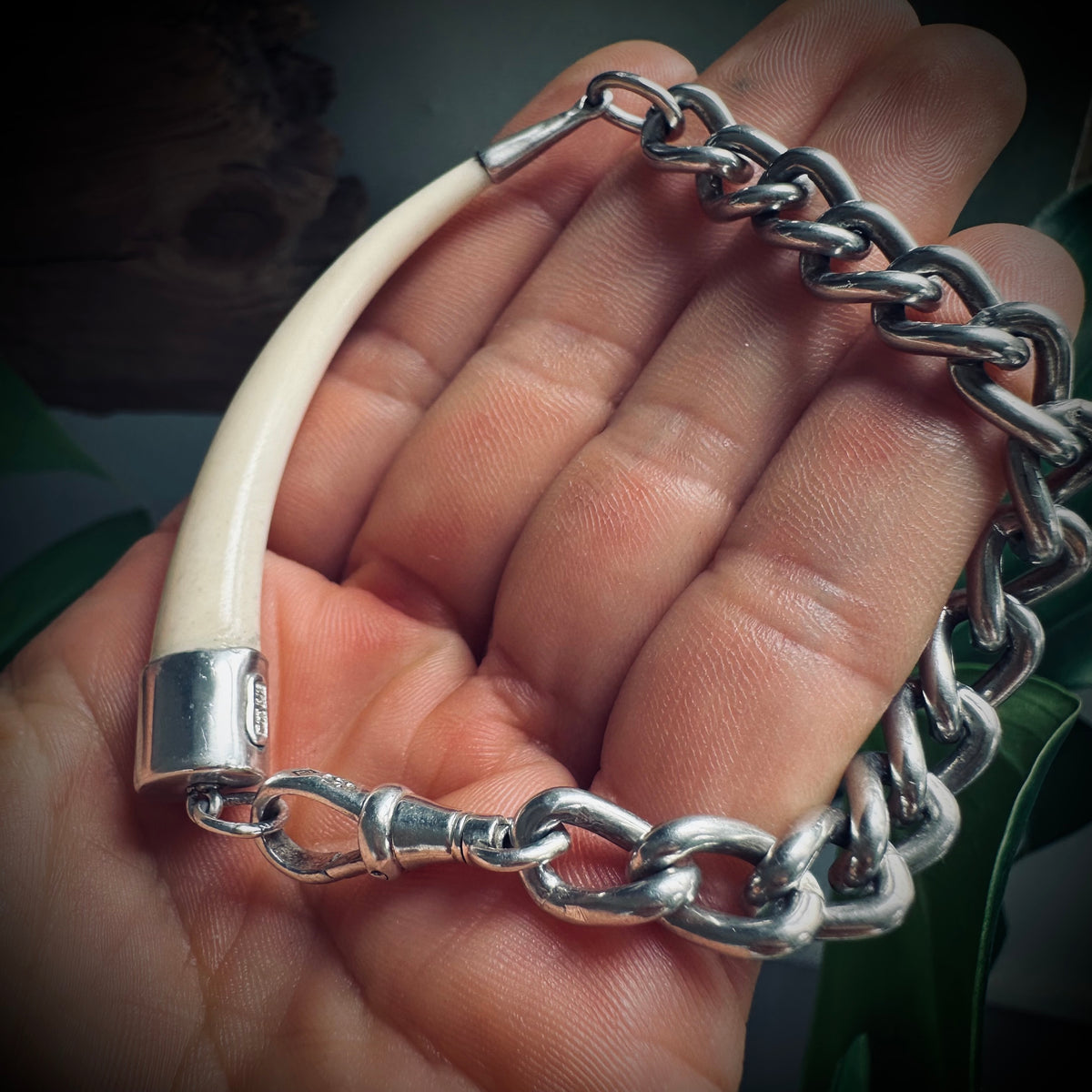8.5” handmade sterling chain and bone “tusk” bracelet with Albert clip