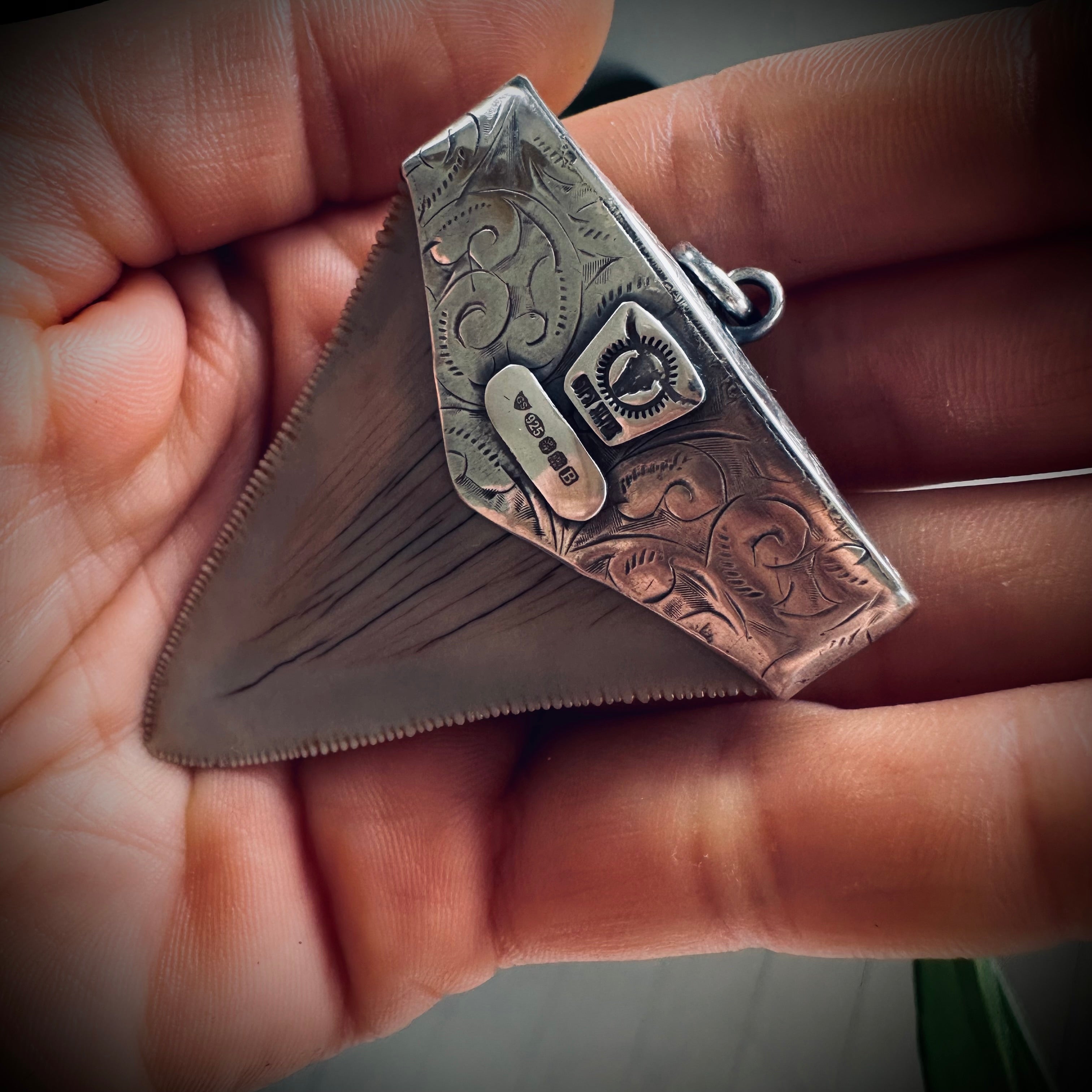 Large fossilised shark tooth pendant in hallmarked sterling silver