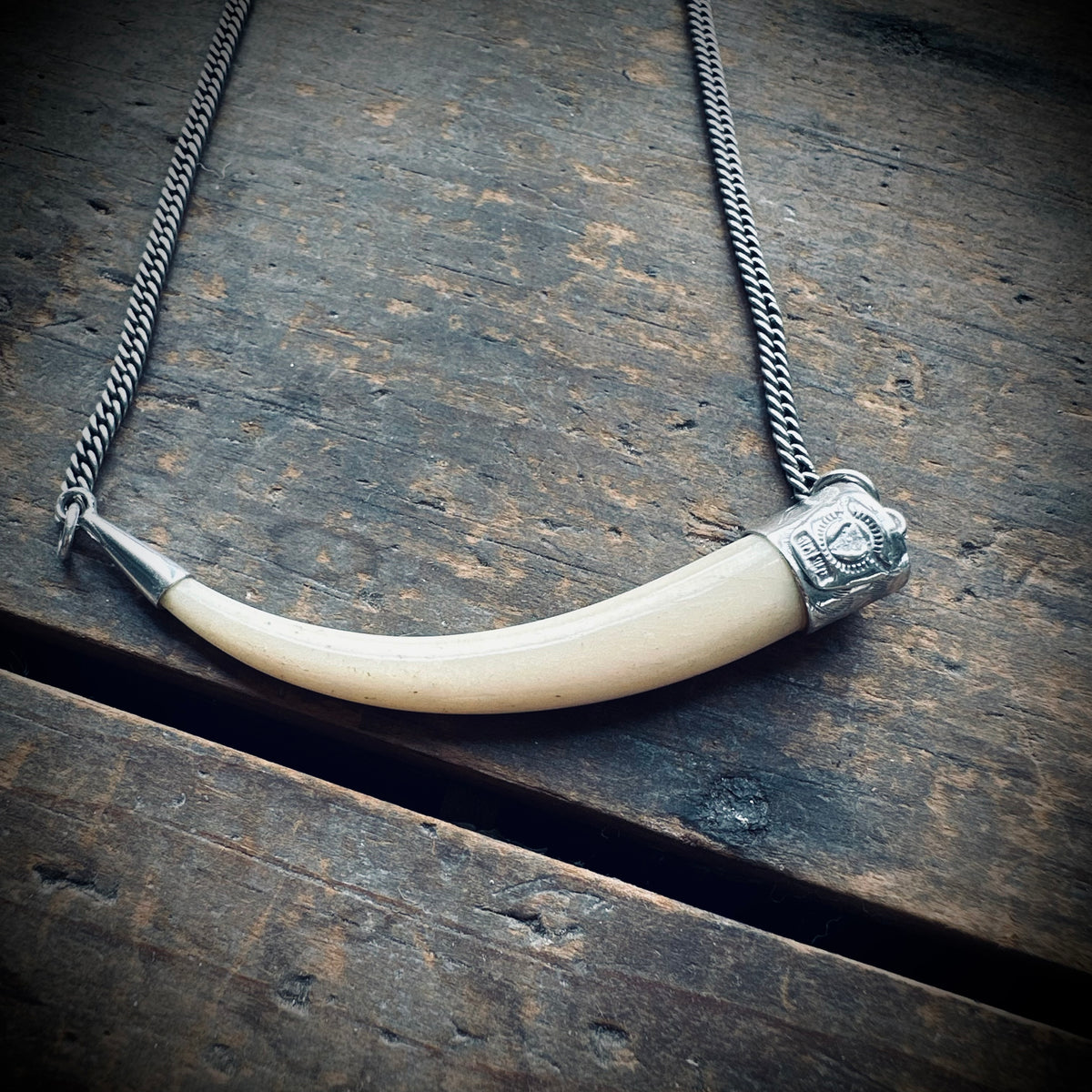 2.5” bone “tusk” on 16” antique guard chain in sterling silver