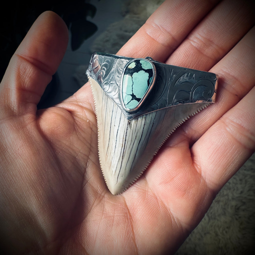 Sterling silver hallmarked fossil shark tooth pendant with turquoise