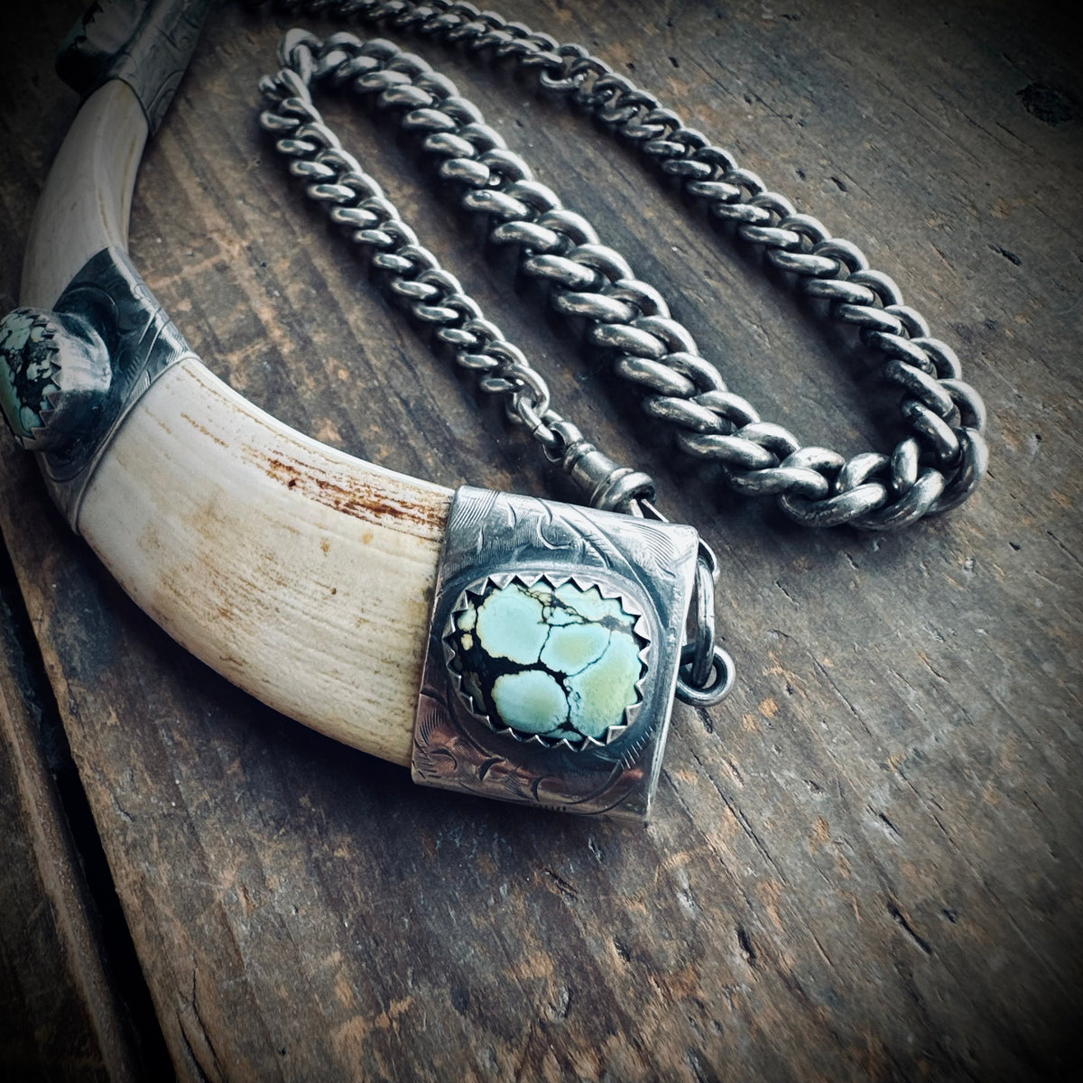 4.5” boars tusk with turquoise on 12.5” antique sterling silver Albert chain