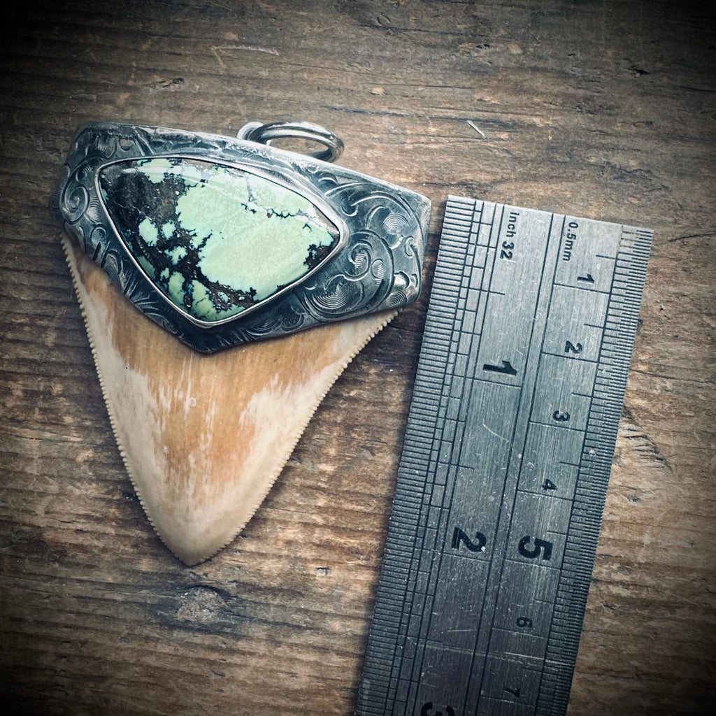 XL Sterling silver fossilised shark tooth pendant with turquoise