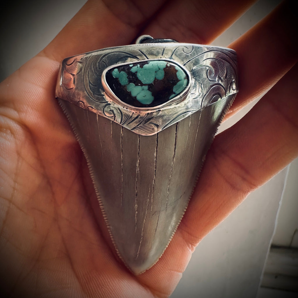 Fossilised shark tooth pendant in engraved hallmarked sterling silver