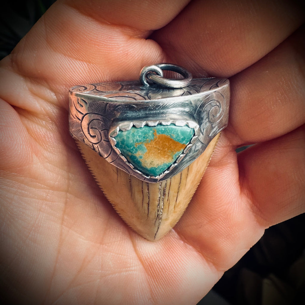 Fossilised shark tooth pendant in engraved hallmarked sterling silver
