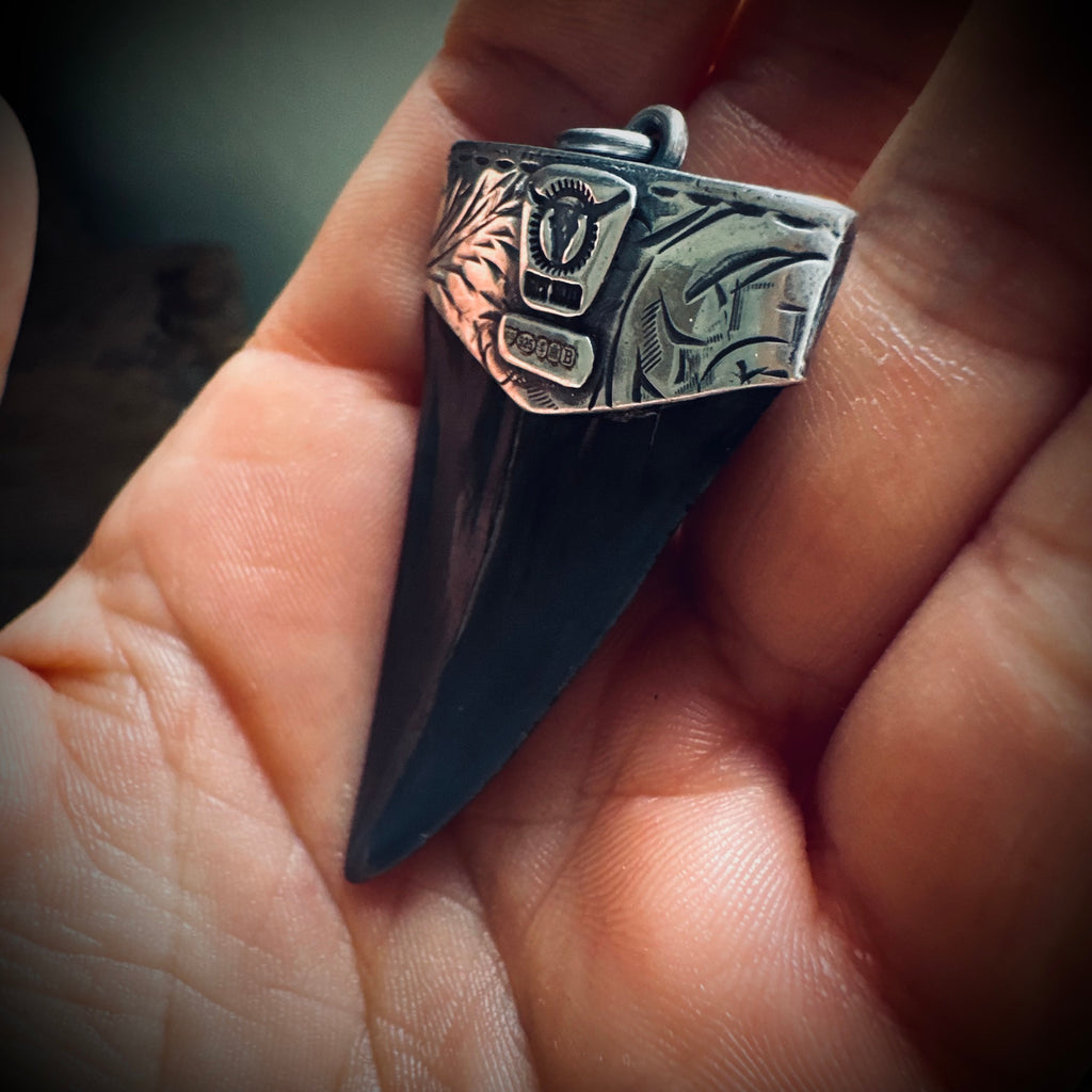 Sterling silver hallmarked fossilised shark tooth pendant with turquoise