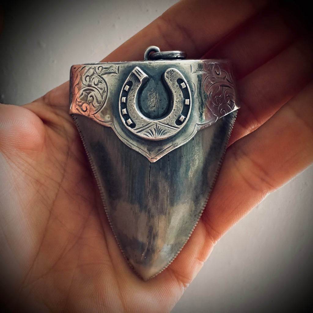 XL Fossilised shark tooth pendant in engraved hallmarked sterling silver