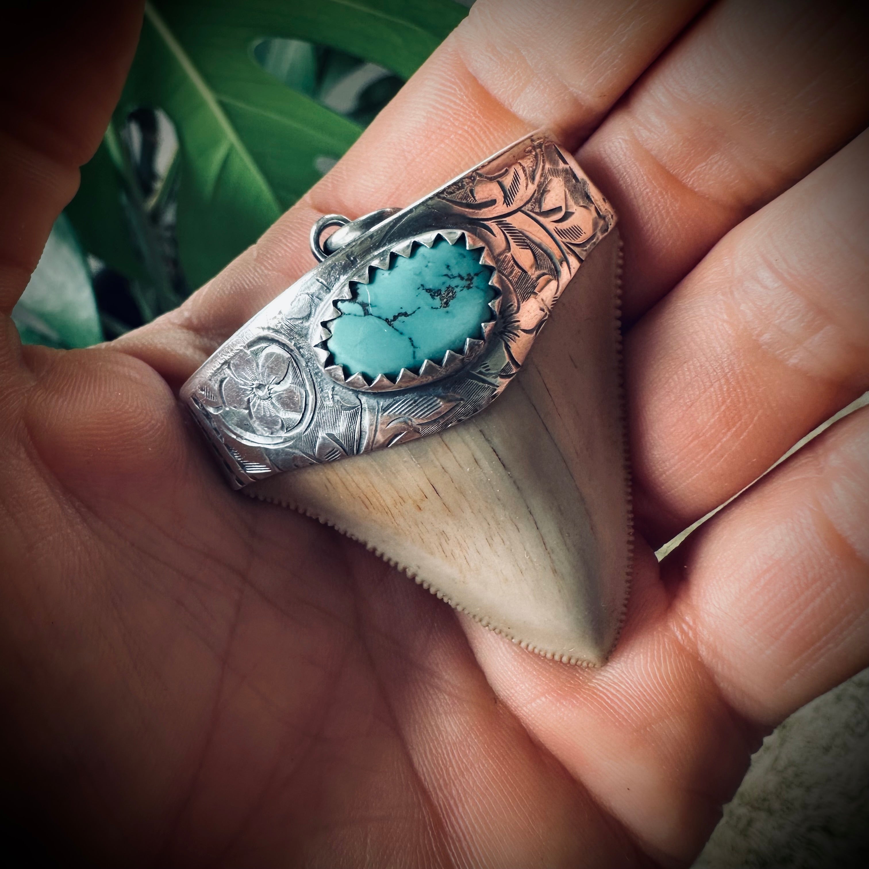 Large fossilised shark tooth pendant in hallmarked sterling silver with turquoise