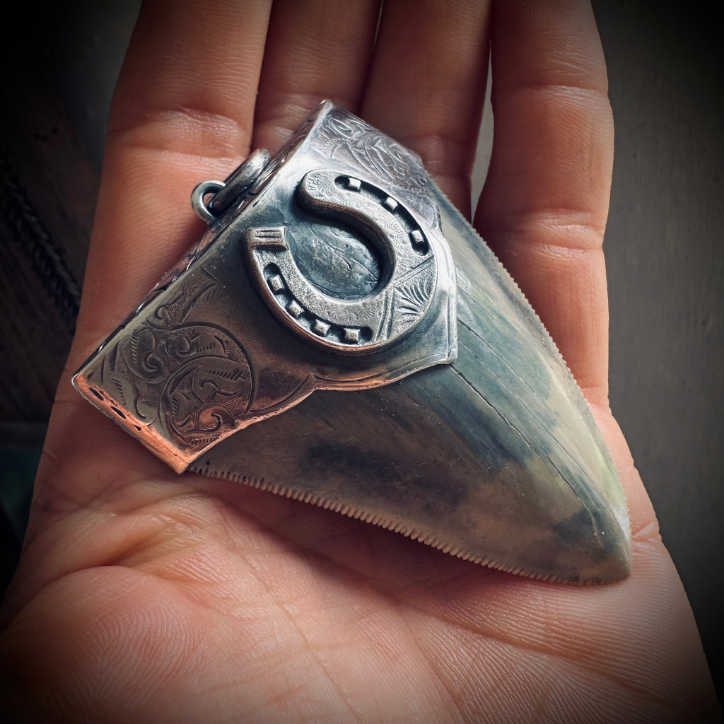 XL Fossilised shark tooth pendant in engraved hallmarked sterling silver