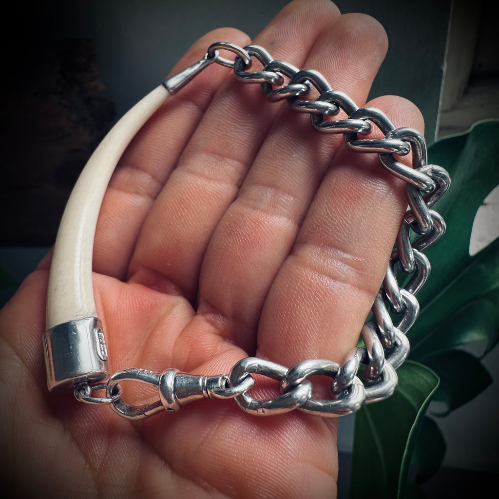 8.5” handmade sterling chain and bone “tusk” bracelet with Albert clip