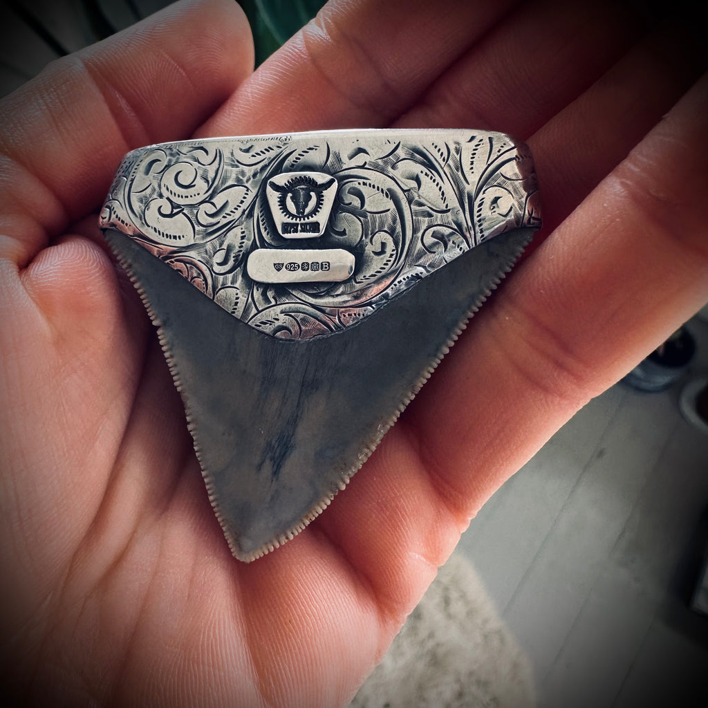 Sterling silver hallmarked fossil shark tooth pendant with turquoise