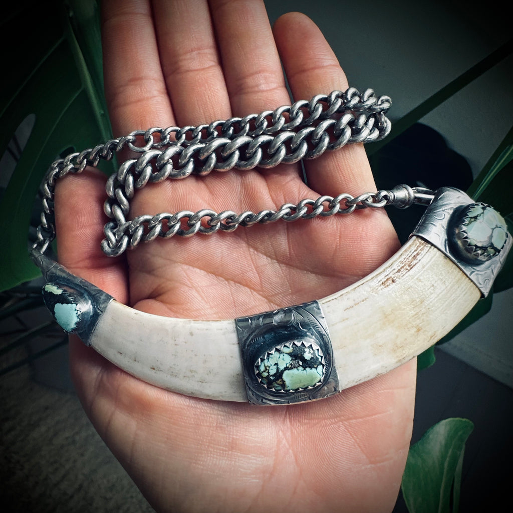 4.5” boars tusk with turquoise on 12.5” antique sterling silver Albert chain