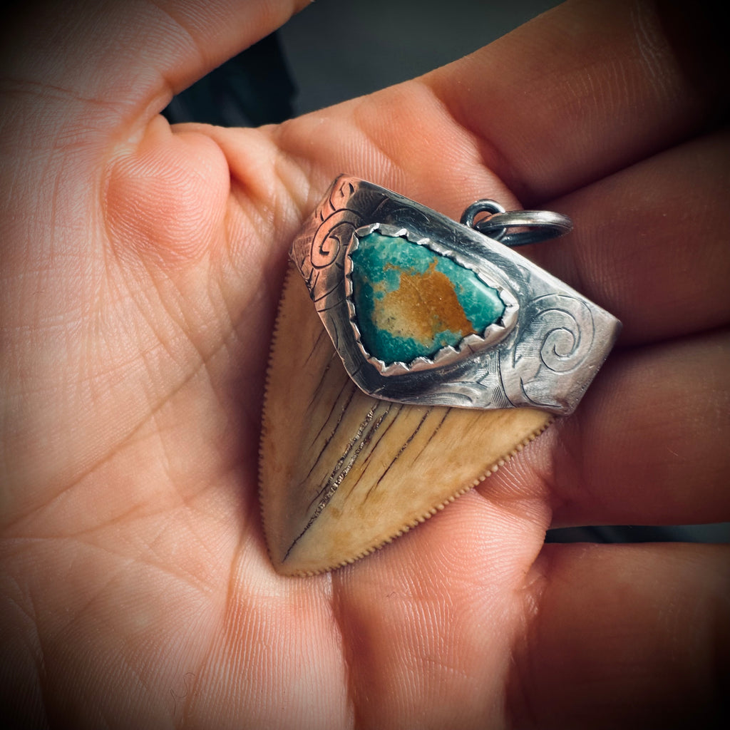 Fossilised shark tooth pendant in engraved hallmarked sterling silver