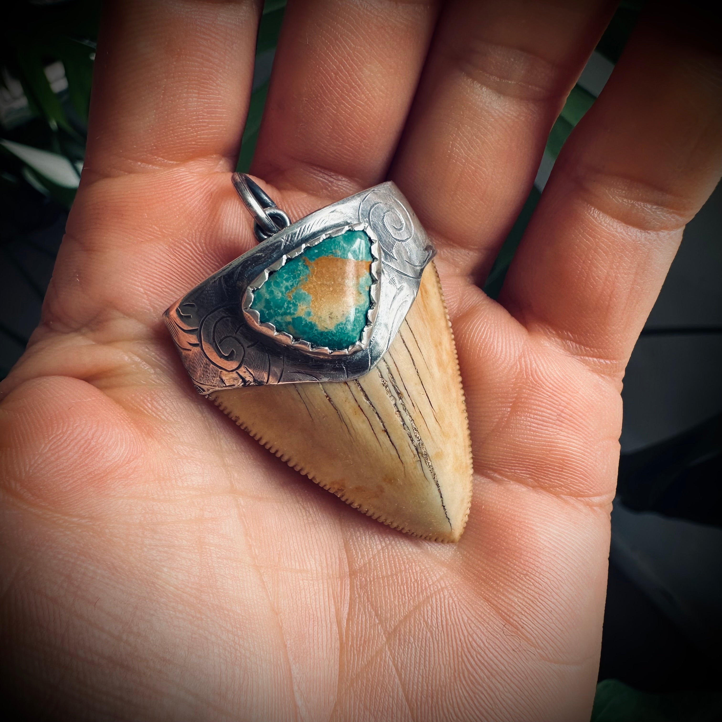 Fossilised shark tooth pendant in engraved hallmarked sterling silver