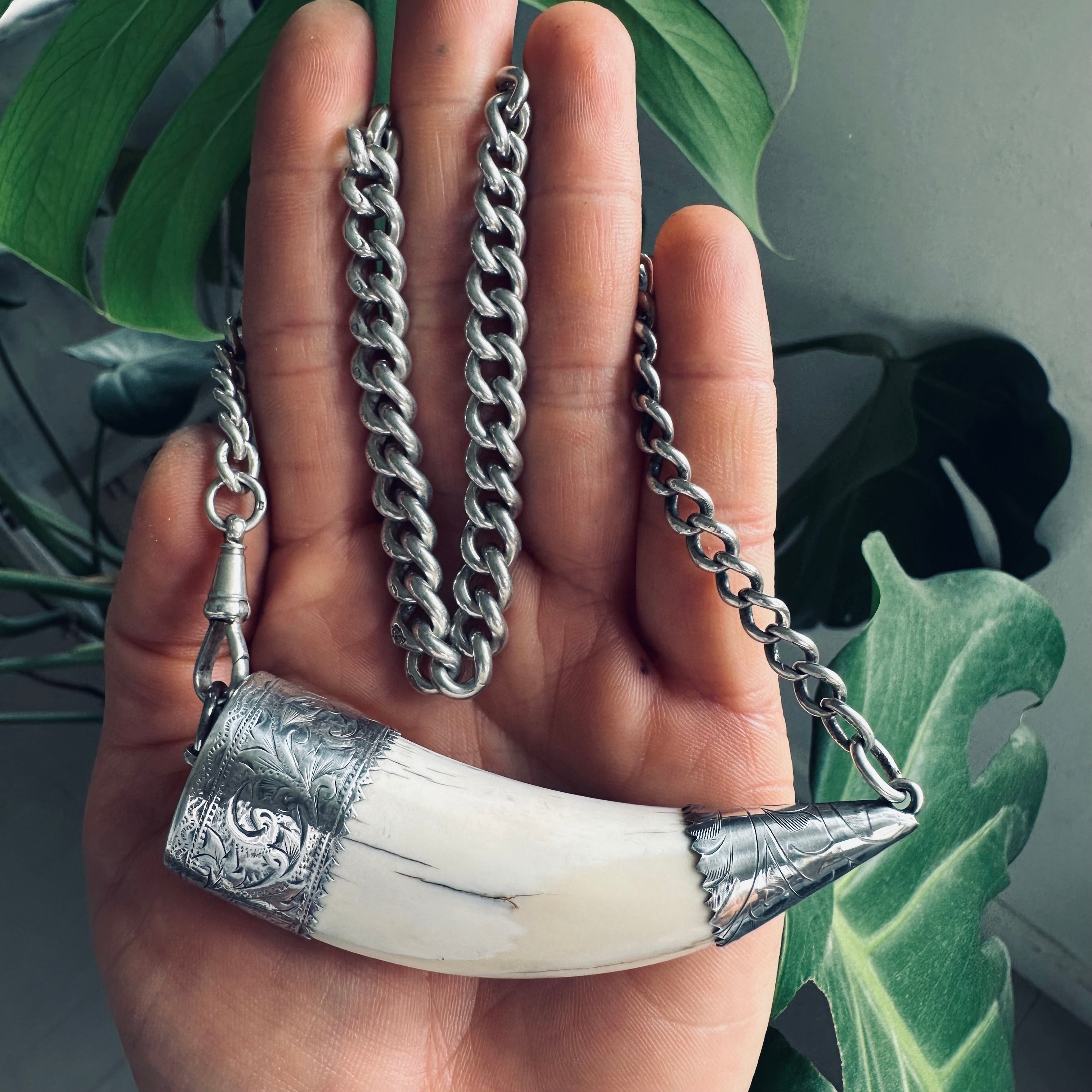 17” reworked vintage tusk necklace in hallmarked sterling silver with gorgeous graduated antique Albert chain