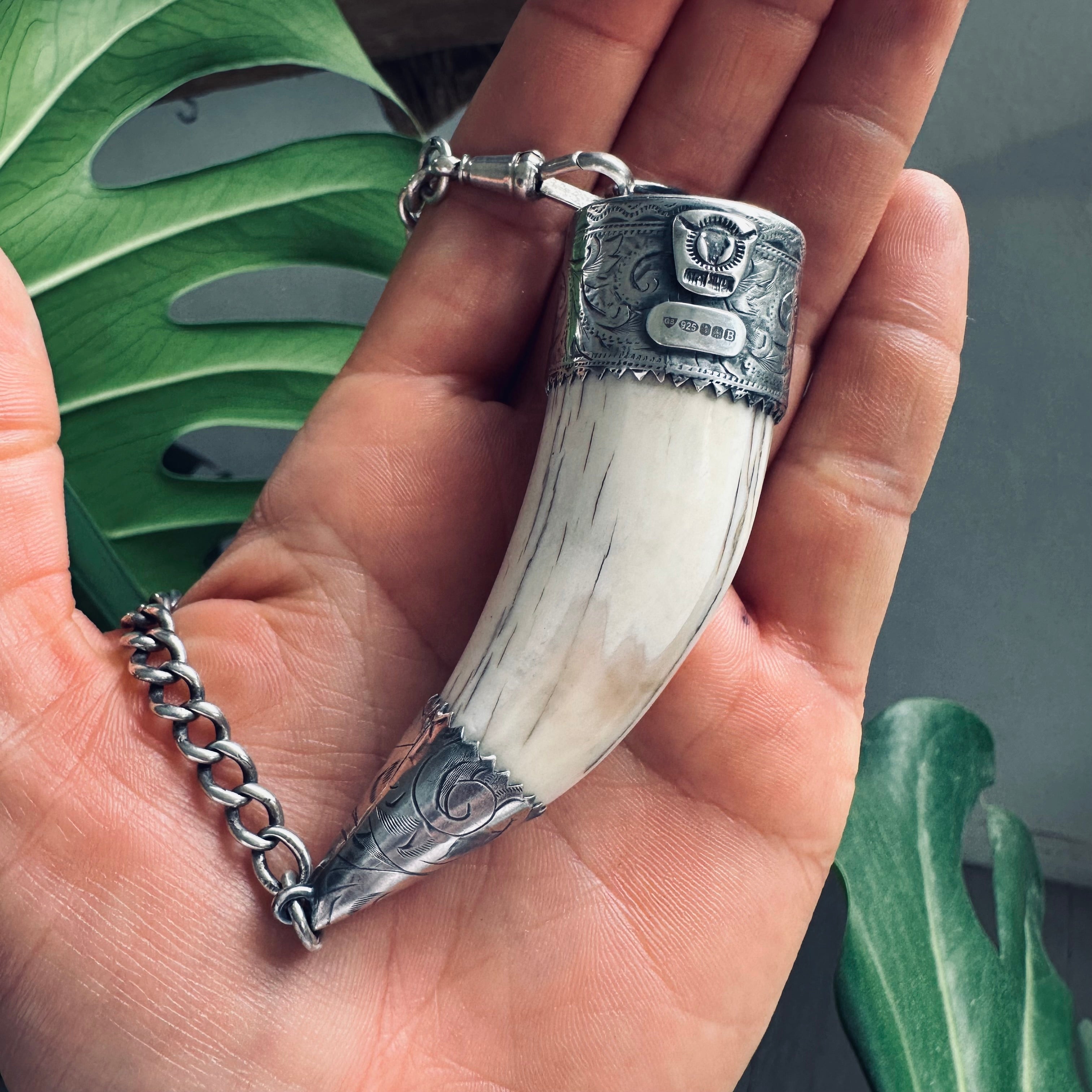 17” reworked vintage tusk necklace in hallmarked sterling silver with gorgeous graduated antique Albert chain