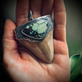XL Sterling silver fossilised shark tooth pendant with turquoise