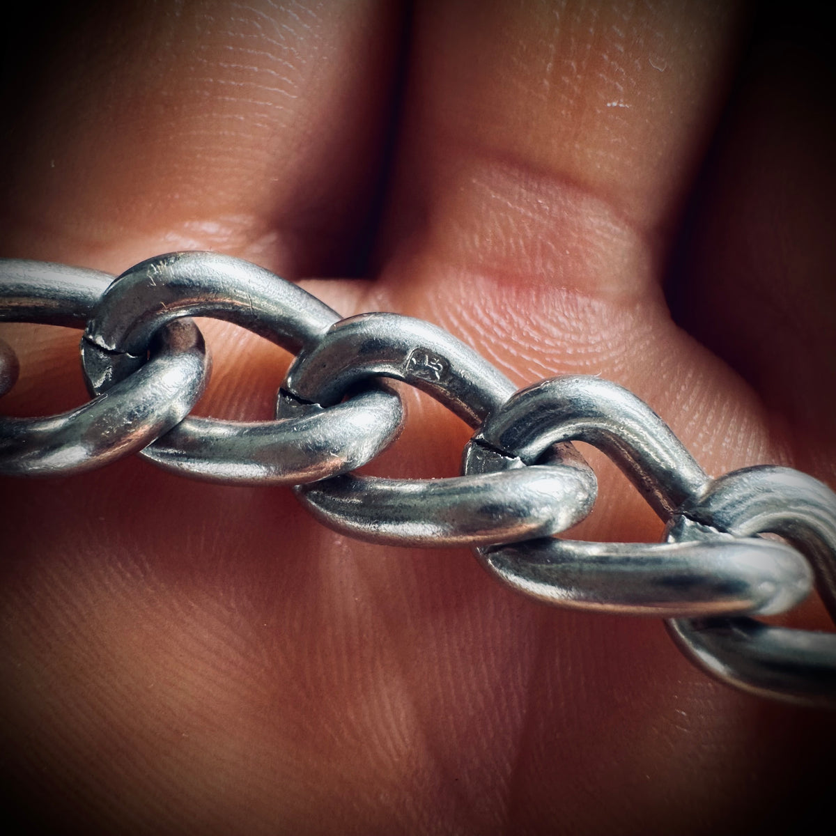 8.5” handmade sterling chain and bone “tusk” bracelet with Albert clip