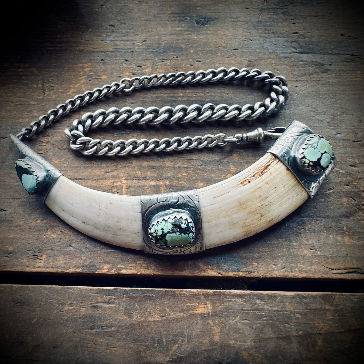 4.5” boars tusk with turquoise on 12.5” antique sterling silver Albert chain