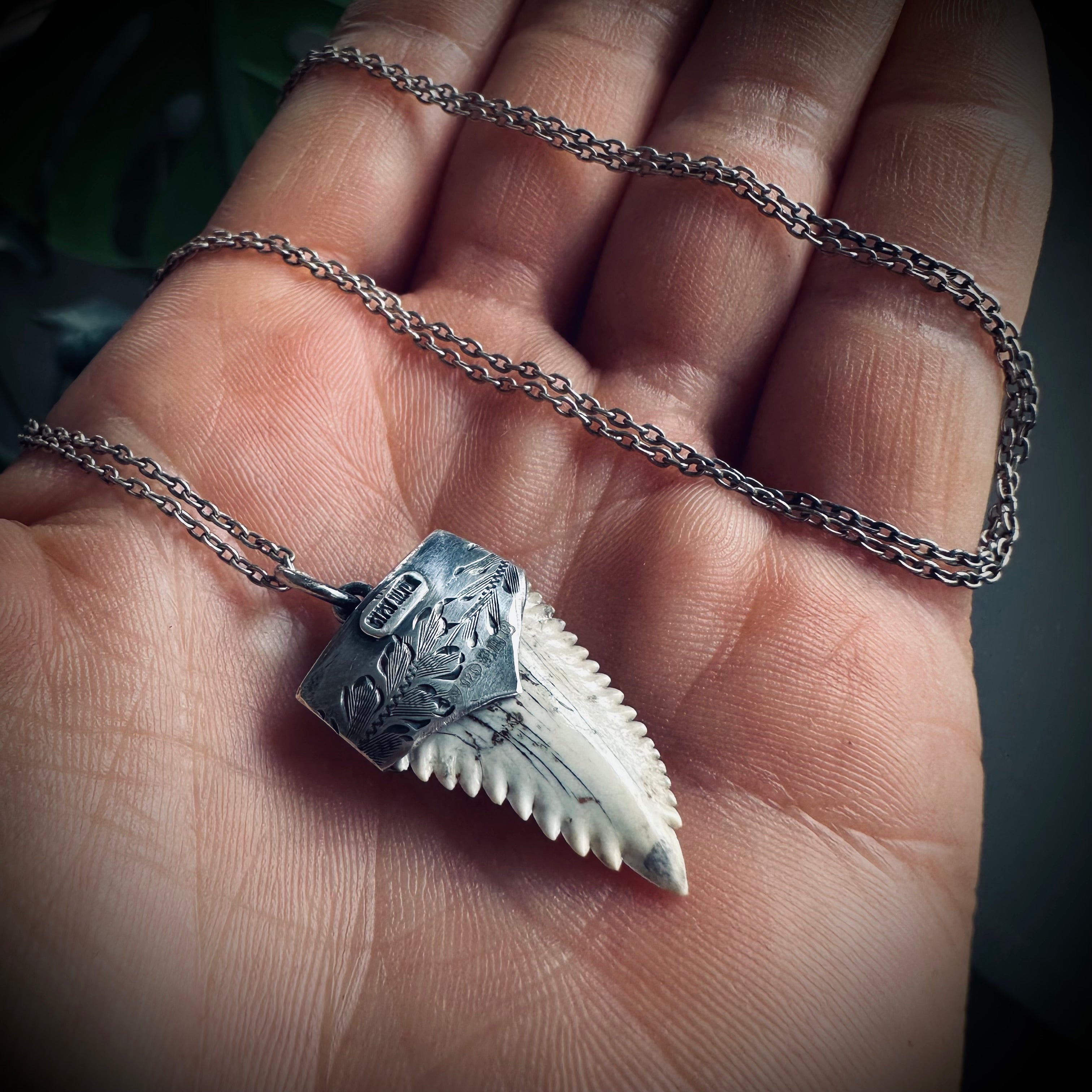 Fossilised shark tooth necklace in hallmarked sterling silver with 23” chain