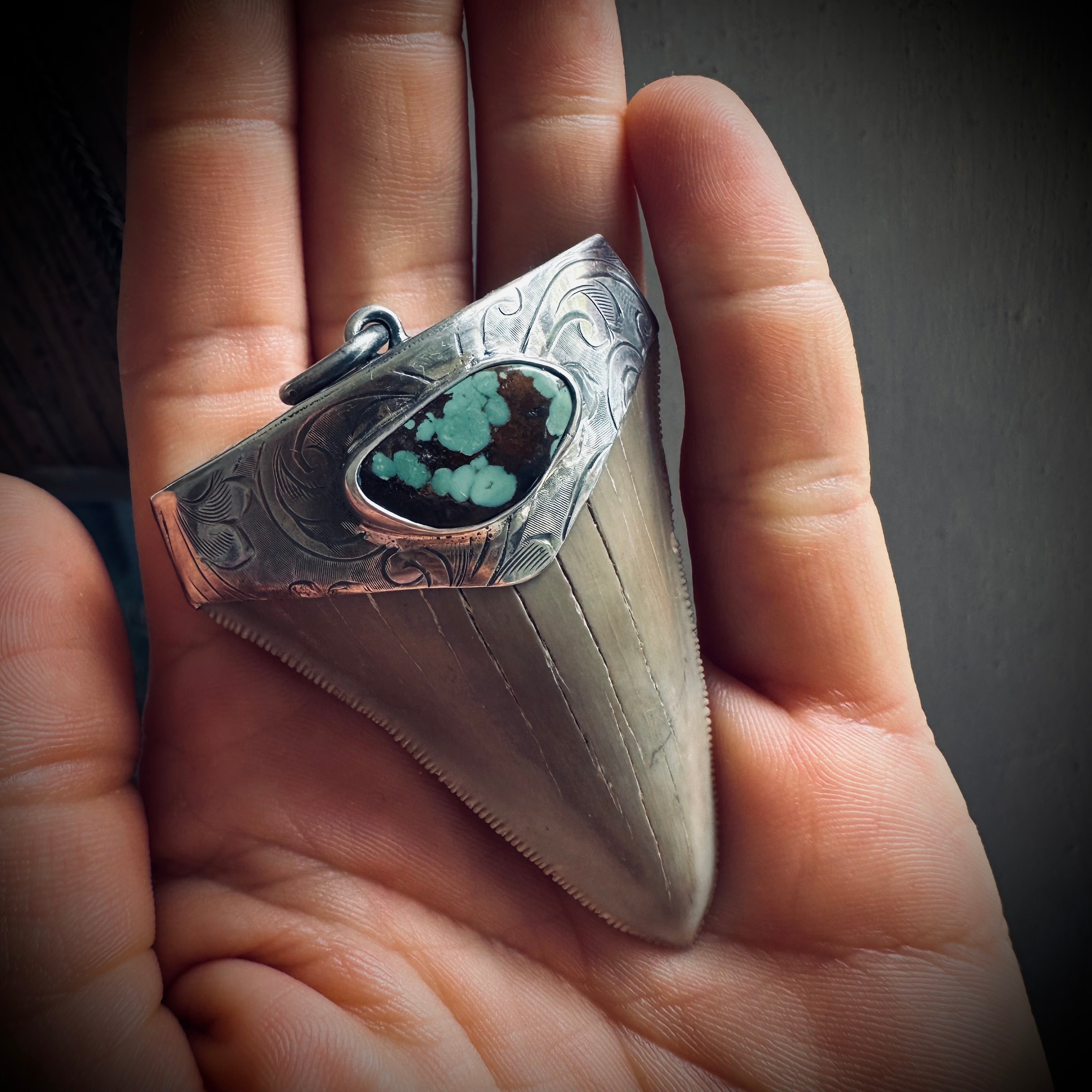Fossilised shark tooth pendant in engraved hallmarked sterling silver
