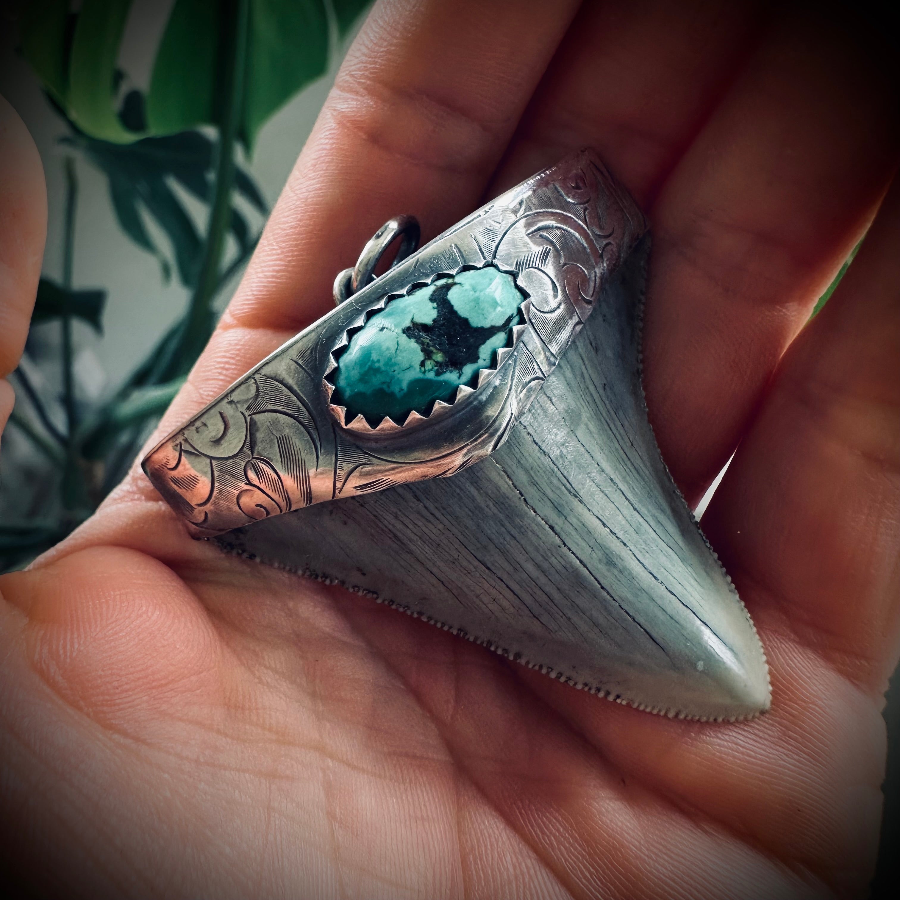Large fossilised shark tooth pendant in hallmarked sterling silver with turquoise