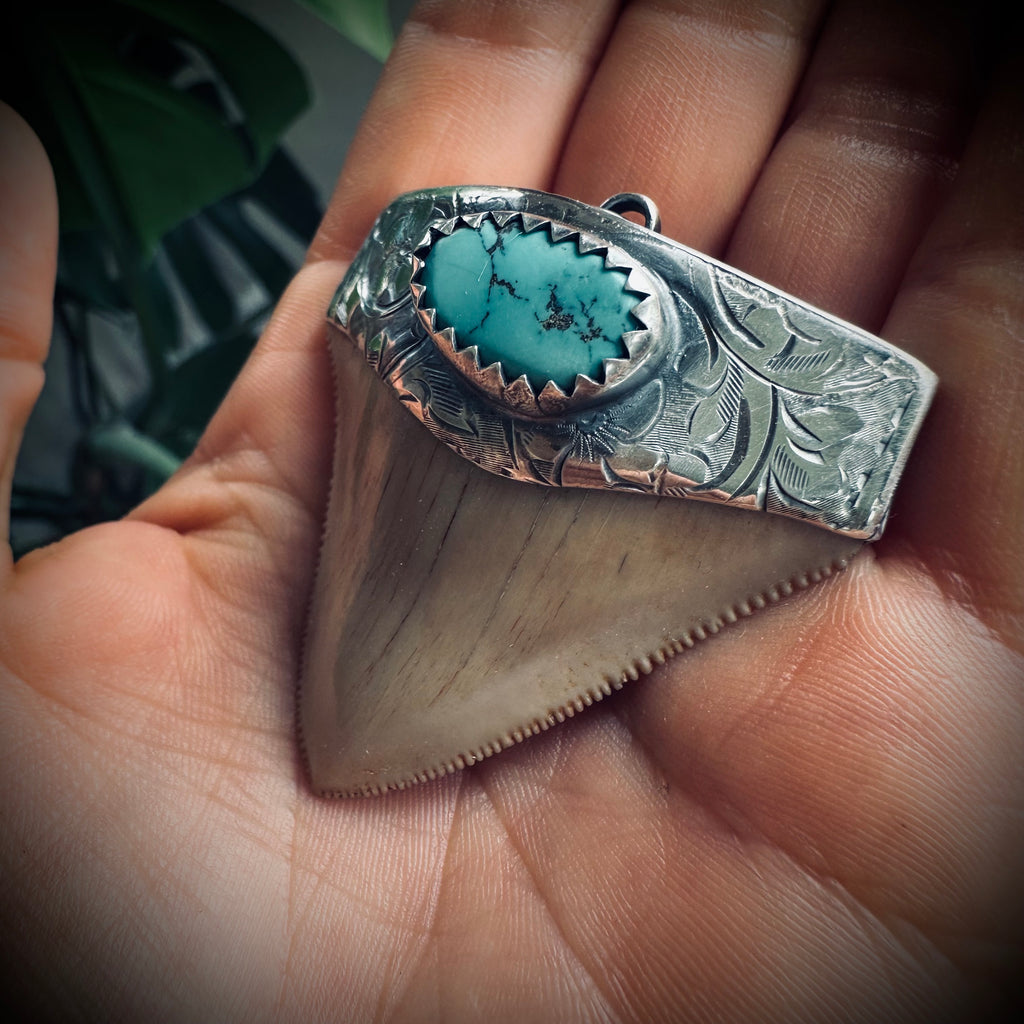 Large fossilised shark tooth pendant in hallmarked sterling silver with turquoise