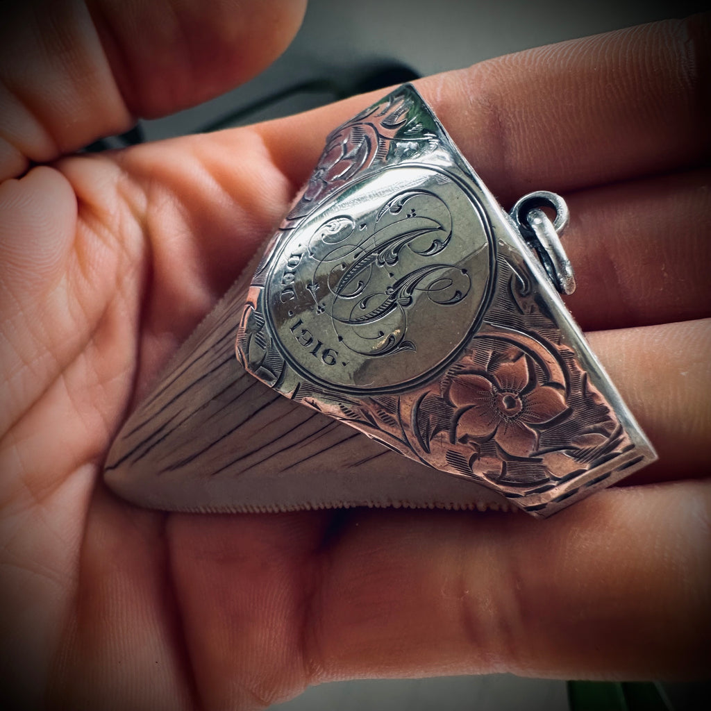 Large fossilised shark tooth pendant in hallmarked sterling silver