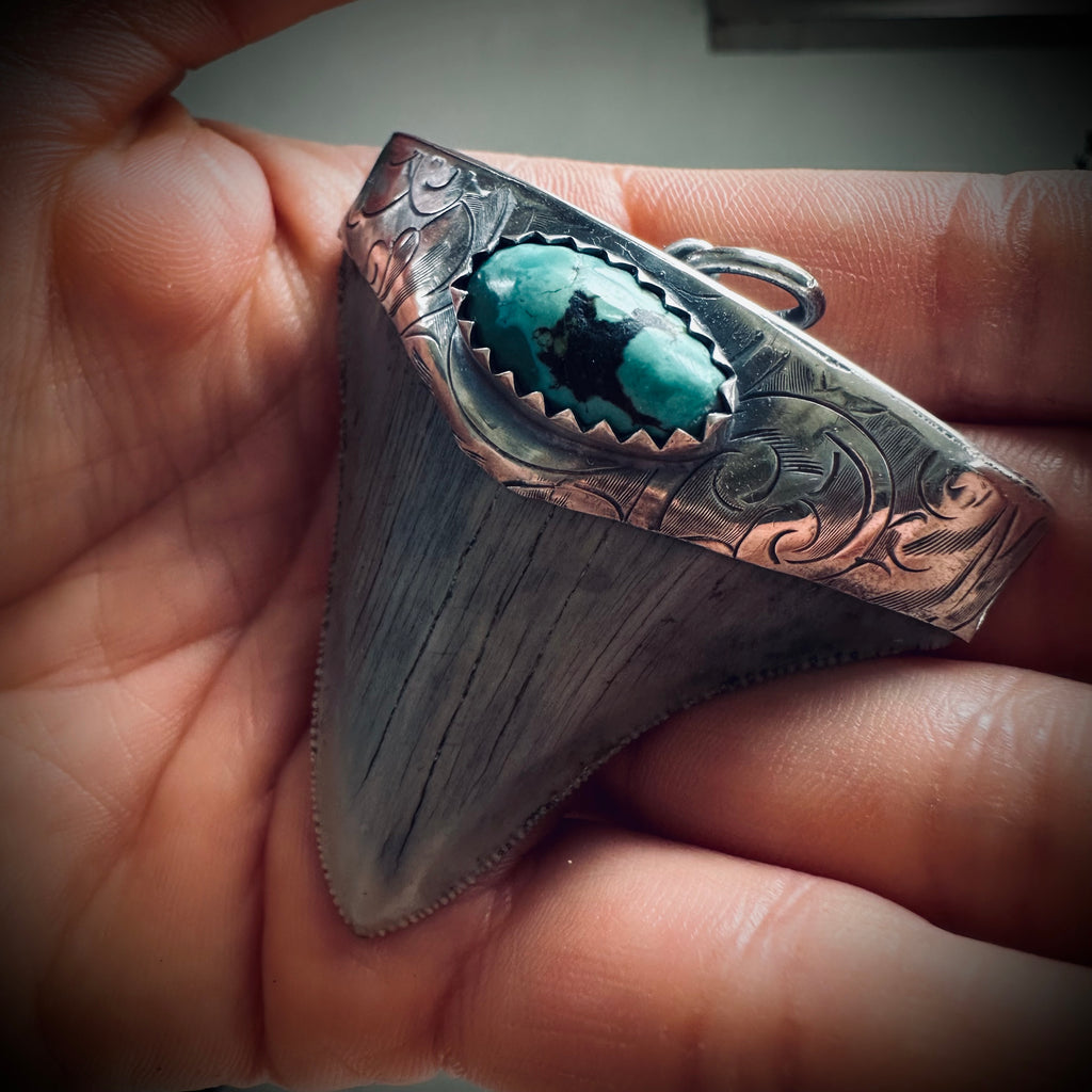 Large fossilised shark tooth pendant in hallmarked sterling silver with turquoise
